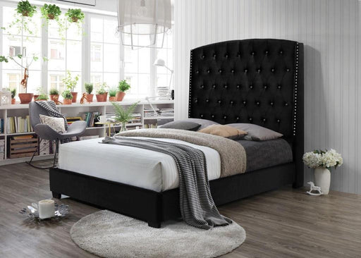 Trisha Bed Frame - Grey/Black/Blue - Decor Furniture & Mattress