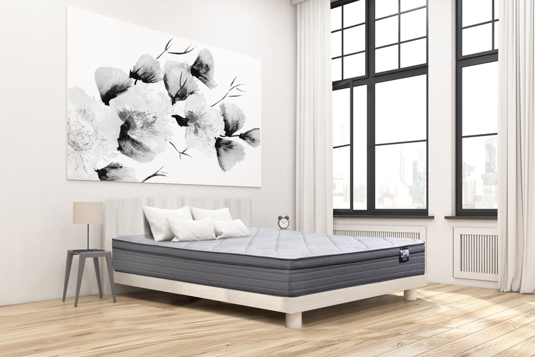 Tranquility Euro Top Mattress - Spring Wall - Decor Furniture & Mattress