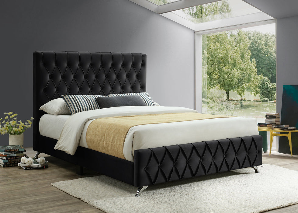 Selena Bed Frame - Queen/King