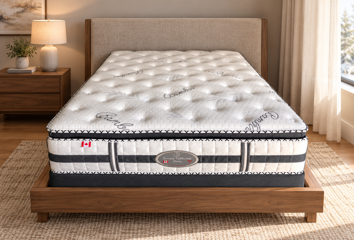 Siesta 5-Zone Coil Euro Top Mattress in a modern bedroom setting
