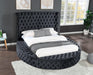 Hazel Bed Frame - Queen/King - Decor Furniture & Mattress
